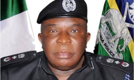 Joseph Egbunike bio: All you need to know about DIG of Police