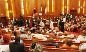 Senate amends electoral act