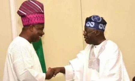 Amosun and Tinubu