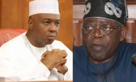 Tinubu accuses Sakari of campaigning against him