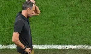 Spain fires head coach