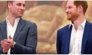 prince harry and williams