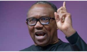 Labour Party peter obi wins enugu