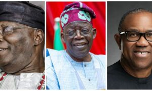 pdp, apc, lp, tinubu, peter obi, atiku