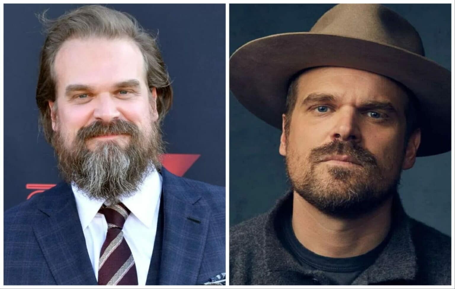 David Harbour Net Worth Age Wife Height Biography And Latest