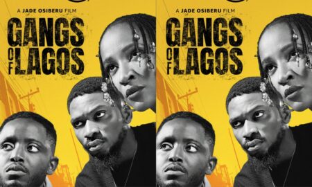 Gangs of Lagos movie review