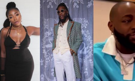 Burna Boy's sister shades Davido