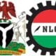 FG and NLC