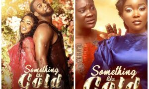 Movie Review Something Like Gold