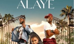 Naija Movie review Alaye
