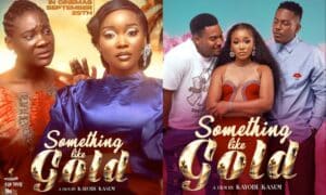 naija Movie review Something Like Gold